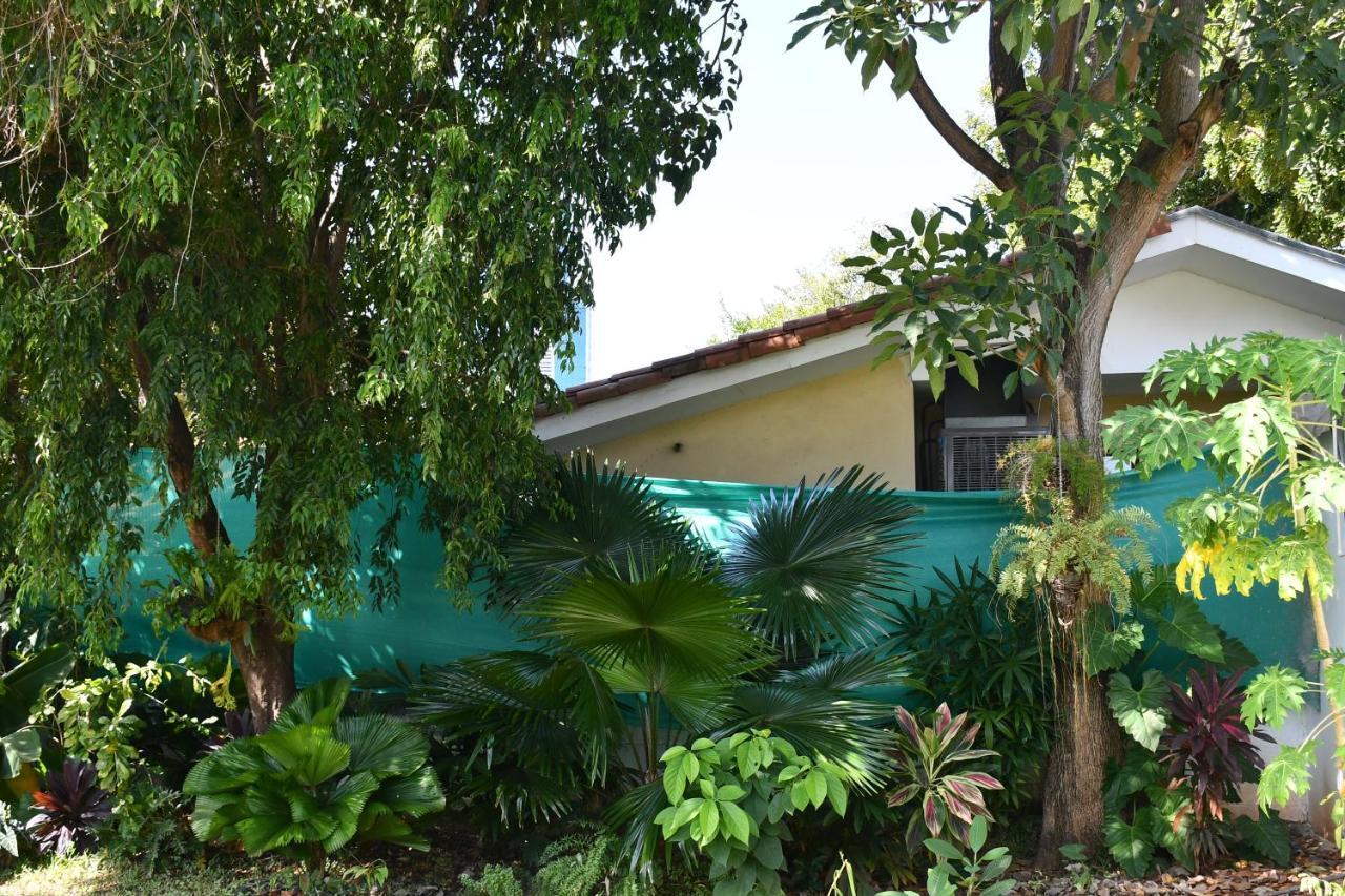 Casa Andrea Bed & Breakfast Ciudad de Panamá Exterior foto